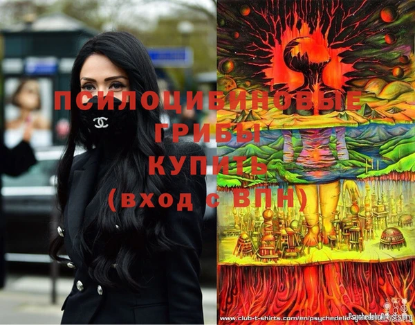 эйфоретик Богданович