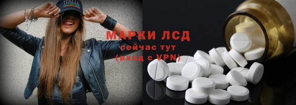 эйфоретик Богданович