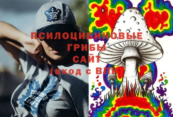 тгк Богородск