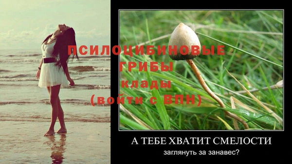 гашик Богородицк