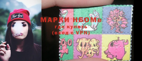 гашик Богородицк