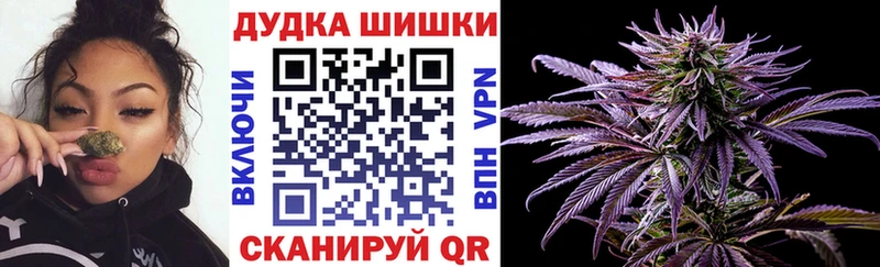 Каннабис AK-47  Яровое 